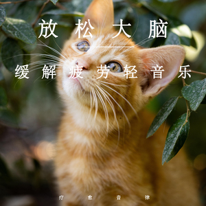 哔哩哔哩高清观看免费网站大全
